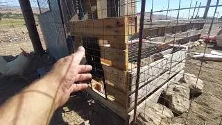 puerta automatica para nuestro gallinero