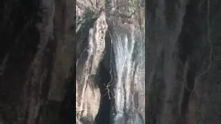 Ko Phi Phi monkeys