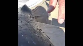 How to Repair a 3D Archery Target