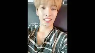 Remember when dk and jeonghan were streaming on vlive at the same time!😭 