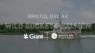 Giant Stories: Bristol Bay Sockeye Salmon | Giant Food
