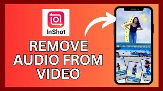 How to Remove Audio from Video in InShot 2024?