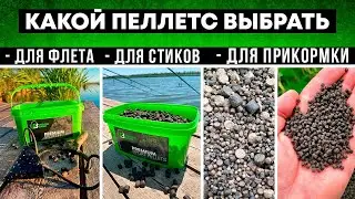 ЛУЧШИЙ ПЕЛЛЕТС ДЛЯ ЛОВЛИ КАРПА! Какой выбрать?