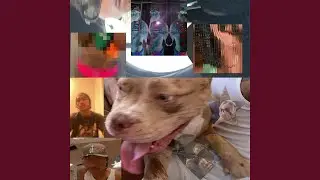 Uuuu