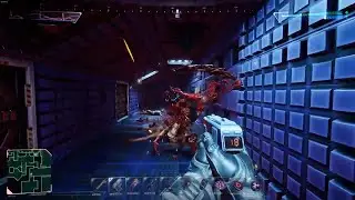 splort