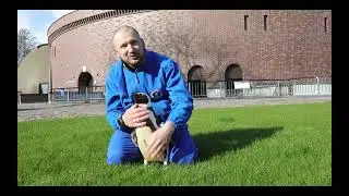 Balandžio 25-ąją yra minima Pasaulinė pingvinų diena!
