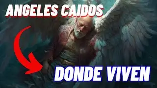 👼Ángeles Caídos: La Ubicación Secreta Revelada - Descubre Dónde Viven 👀 
