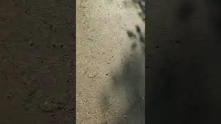 у меня столько дел:)