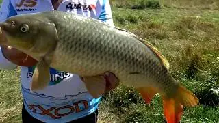 Подписывайтесь на канал FishTime.ua