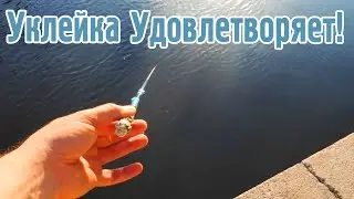 Уклейка удовлетворяет! Как получить удовольствие от ловли уклейки.