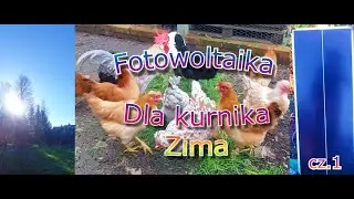 Fotowoltaika dla kurnika zima cz.1 kurnik z kur wielu
