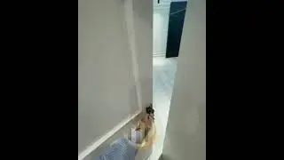 Я В ШОКЕ 🙀