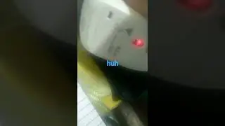 The Mouse Computer Problem