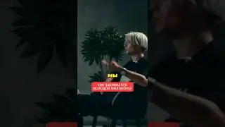 ИСТОЧНИКИ ДОХОДА У КРИПТО АРБИТРАЖНИКА☝️ 