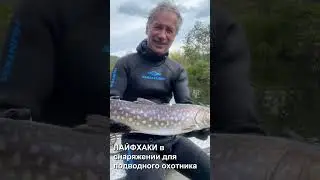 Встреча с Виноградовым 04 12 24