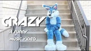 Crazy - Furry Music Video