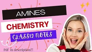 AMINES | Class12 |Chemistry | Handwritten Notes 🌟 | CBSE, CUET 2024