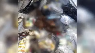 Policía sostiene que restos óseos humanos hallados en vía pública pudieron haber sido exhumados