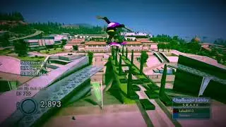 SKATE Montage 3