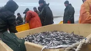 2 июля 2024 г.