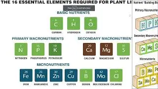 Cannabis Nutrient Mixing Breakdown