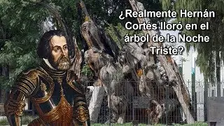 Historia del Árbol de la Noche Triste
