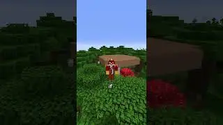 The most Amazing Minecraft seed