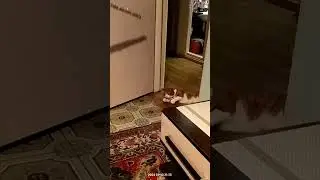 Когда хочется,но лень...