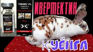 Ивермектин quyonlar uchun. Qo‘llanilishi, muddatlari, dozalari. Ивермектин для кроликам.