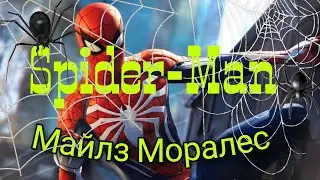 Marvel Человек - Паук:Майлз Моралис.