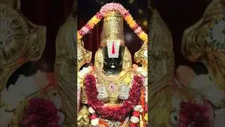 Tirumala Balaji #ttd #govinda #ttd_news