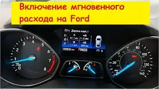 We turn on instantaneous fuel consumption at idle speed.