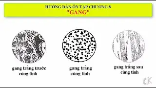 Hướng dẫn ôn tập môn Khoa học vật liệu cơ khí - Chương 8: Gang