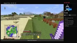 Minecraft fun