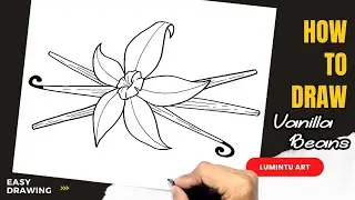 How to draw Vanilla Beans