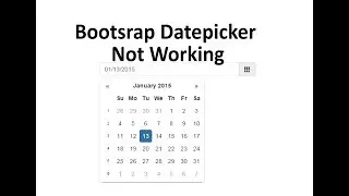 Datepicker Not Showing or Not Working Codeigniter Bootstrap
