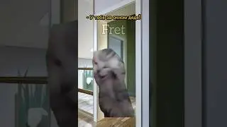 Посмотри в окно, что ты видишь?😱 