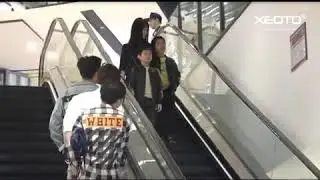 Troll