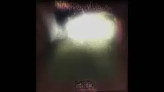 أحشاءteras intai 内臓