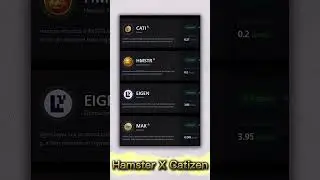 Catizen X Hamster Kombat Listing Progress in Bybit 