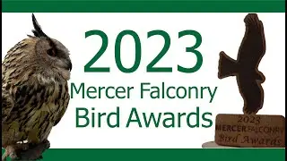 2023 Mercer Falconry Bird Awards