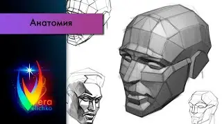 Стрим №230: Как рисовать обрубовку головы человека