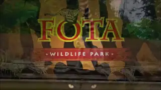Fota Wildlife Park  Cork