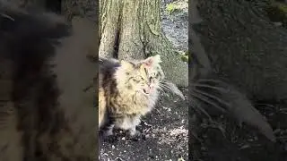 2:06 of a glimpse in Duchess’s life