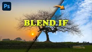 블렌드 이프(Blend If) [포토샵 TL #20-3]