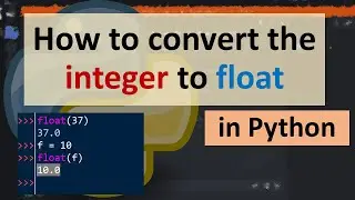 How to convert the integer to float in Python