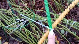 УКРЫТИЯ ДЛЯ РОЗ. ОТВЕТЫ НА ВОПРОСЫ