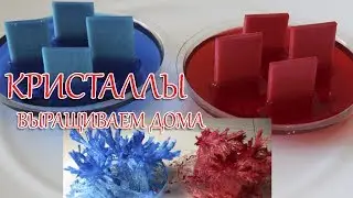 Кристалл в домашних условиях: вырастить и сломать!