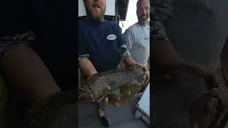 Flounder Pounder 2024 (in a minute and a half)
