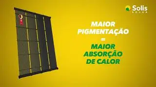 Coletor de piscina de alta pigmentação
